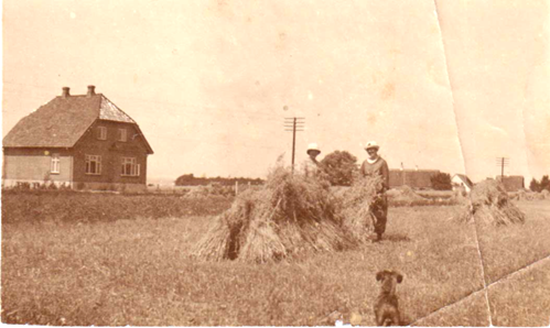 Græskevej 1921 - Møns Museum
